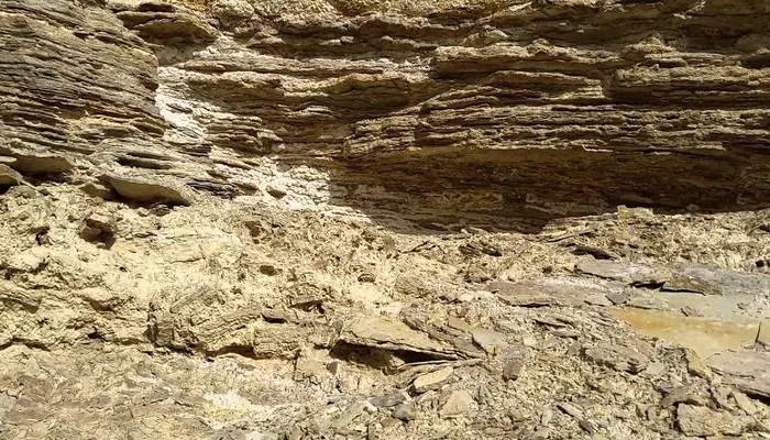 Rocas sedimentarias